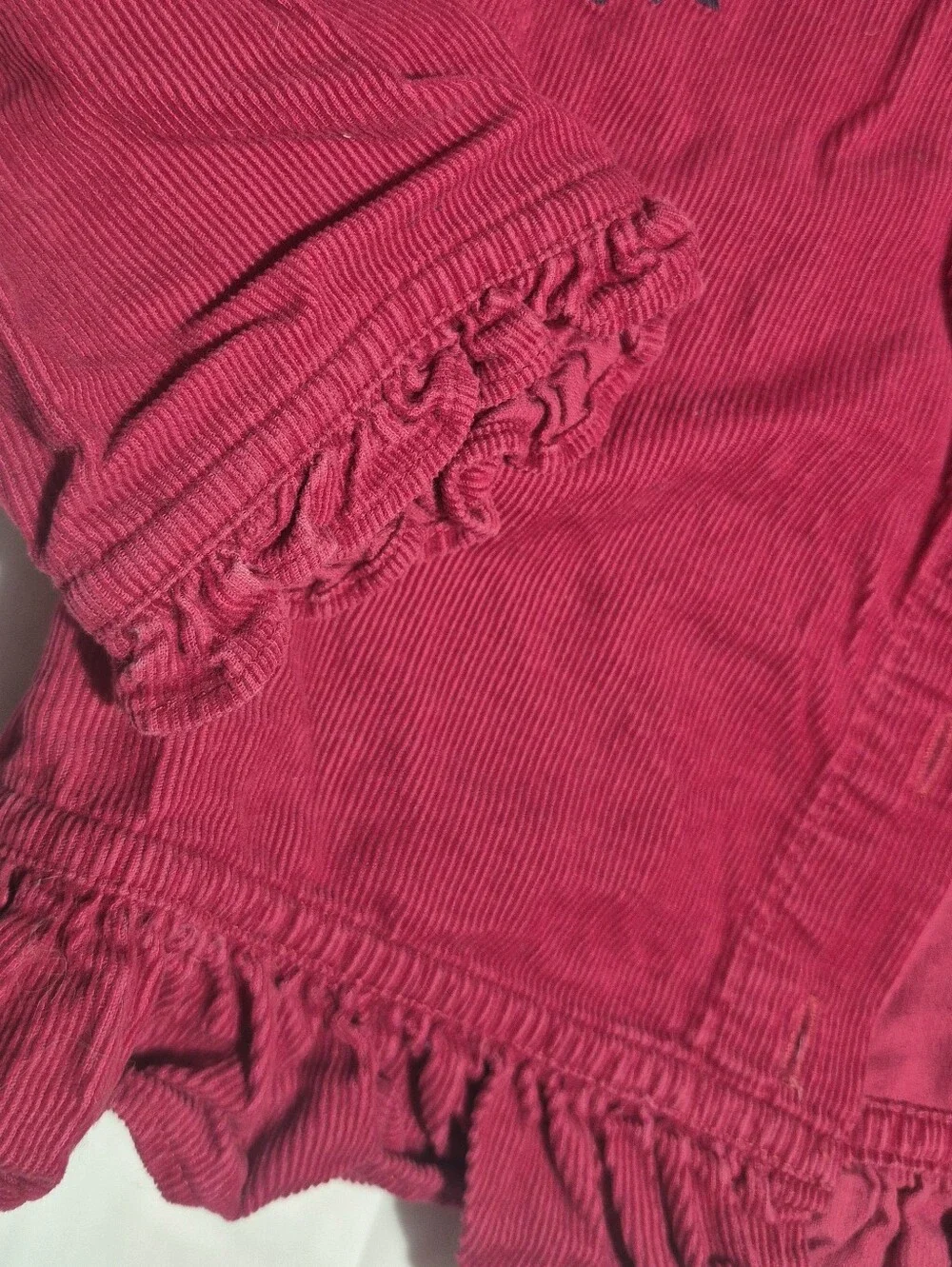Vintage Gymboree 'Indian Summer' 2003-Corduroy Ruffle Jacket & Butterfly Top
